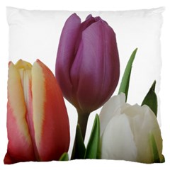 Tulips Bouquet Large Cushion Case (one Side) by picsaspassion