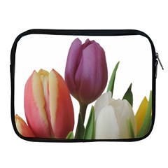 Tulips Bouquet Apple Ipad 2/3/4 Zipper Cases by picsaspassion