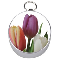 Tulips Bouquet Silver Compasses by picsaspassion