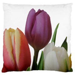 Tulips Bouquet Large Flano Cushion Case (one Side) by picsaspassion