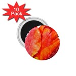 Red tulip and black stripes 1.75  Magnets (10 pack)  Front