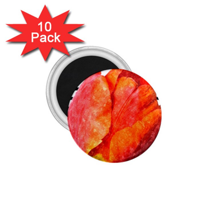 Red tulip and black stripes 1.75  Magnets (10 pack) 