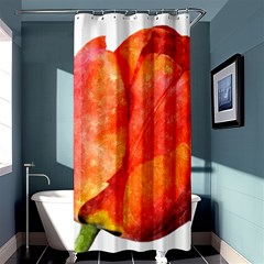 Red Tulip And Black Stripes Shower Curtain 36  X 72  (stall)  by picsaspassion