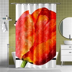 Red Tulip And Black Stripes Shower Curtain 48  X 72  (small)  by picsaspassion