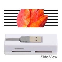 Red Tulip And Black Stripes Memory Card Reader (stick) by picsaspassion