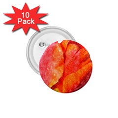 Red Tulip, Watercolor Art 1 75  Buttons (10 Pack) by picsaspassion