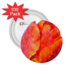 Red Tulip, Watercolor Art 2 25  Buttons (100 Pack)  by picsaspassion