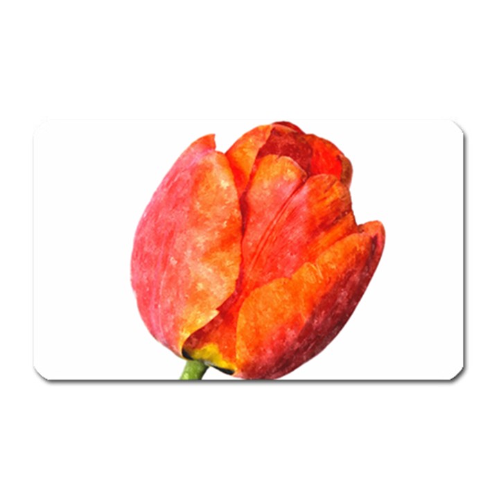 Red Tulip, watercolor art Magnet (Rectangular)