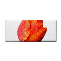 Red Tulip, Watercolor Art Hand Towel by picsaspassion