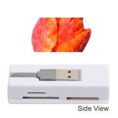 Red Tulip, Watercolor Art Memory Card Reader (stick) by picsaspassion