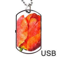 Red Tulip, Watercolor Art Dog Tag Usb Flash (two Sides) by picsaspassion