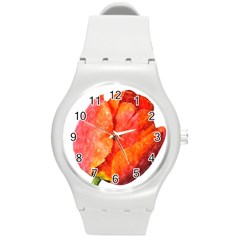 Red Tulip, Watercolor Art Round Plastic Sport Watch (m) by picsaspassion