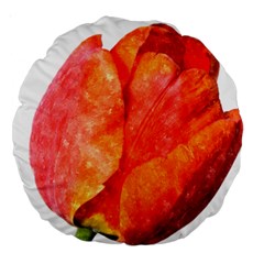 Red Tulip, Watercolor Art Large 18  Premium Round Cushions by picsaspassion