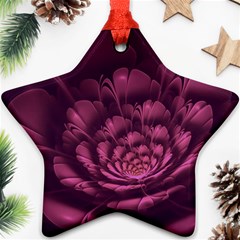 Fractal Blossom Flower Bloom Star Ornament (two Sides) by Wegoenart