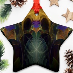 Fractal Colorful Pattern Design Ornament (star) by Wegoenart