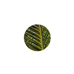 Palm Fronds Palm Palm Leaf Plant 1  Mini Buttons by Wegoenart