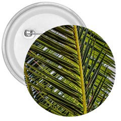 Palm Fronds Palm Palm Leaf Plant 3  Buttons by Wegoenart