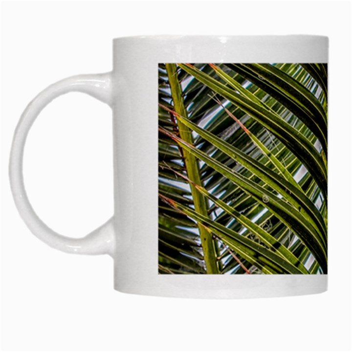 Palm Fronds Palm Palm Leaf Plant White Mugs