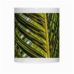 Palm Fronds Palm Palm Leaf Plant White Mugs Center