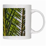 Palm Fronds Palm Palm Leaf Plant White Mugs Right