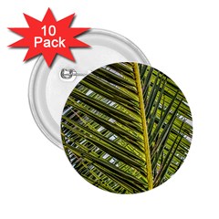 Palm Fronds Palm Palm Leaf Plant 2 25  Buttons (10 Pack)  by Wegoenart