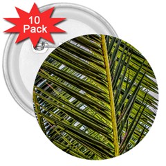 Palm Fronds Palm Palm Leaf Plant 3  Buttons (10 Pack)  by Wegoenart