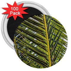 Palm Fronds Palm Palm Leaf Plant 3  Magnets (100 Pack) by Wegoenart