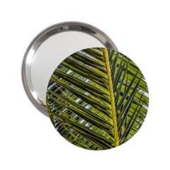 Palm Fronds Palm Palm Leaf Plant 2 25  Handbag Mirrors by Wegoenart