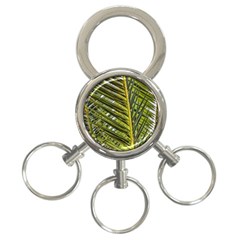 Palm Fronds Palm Palm Leaf Plant 3-ring Key Chains by Wegoenart