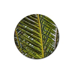 Palm Fronds Palm Palm Leaf Plant Rubber Coaster (round)  by Wegoenart