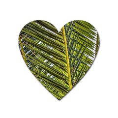 Palm Fronds Palm Palm Leaf Plant Heart Magnet by Wegoenart