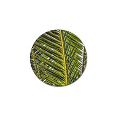 Palm Fronds Palm Palm Leaf Plant Golf Ball Marker (4 Pack) by Wegoenart