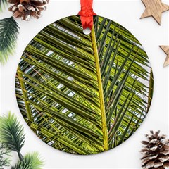 Palm Fronds Palm Palm Leaf Plant Round Ornament (two Sides) by Wegoenart