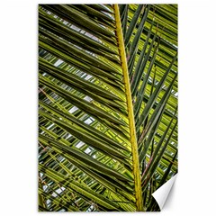 Palm Fronds Palm Palm Leaf Plant Canvas 24  X 36  by Wegoenart