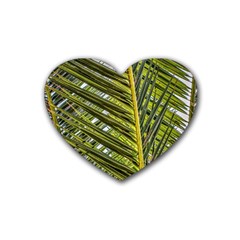 Palm Fronds Palm Palm Leaf Plant Rubber Coaster (heart)  by Wegoenart