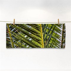 Palm Fronds Palm Palm Leaf Plant Hand Towel by Wegoenart