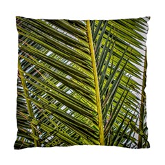 Palm Fronds Palm Palm Leaf Plant Standard Cushion Case (two Sides) by Wegoenart