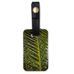 Palm Fronds Palm Palm Leaf Plant Luggage Tags (one Side)  by Wegoenart