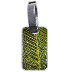 Palm Fronds Palm Palm Leaf Plant Luggage Tags (two Sides) by Wegoenart