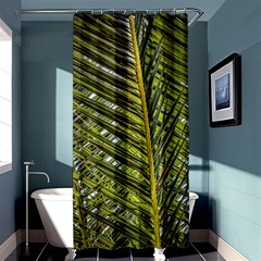 Palm Fronds Palm Palm Leaf Plant Shower Curtain 36  X 72  (stall)  by Wegoenart