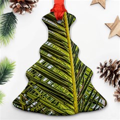 Palm Fronds Palm Palm Leaf Plant Christmas Tree Ornament (two Sides) by Wegoenart