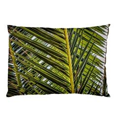 Palm Fronds Palm Palm Leaf Plant Pillow Case (two Sides) by Wegoenart