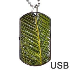 Palm Fronds Palm Palm Leaf Plant Dog Tag Usb Flash (two Sides) by Wegoenart