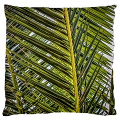 Palm Fronds Palm Palm Leaf Plant Large Cushion Case (two Sides) by Wegoenart