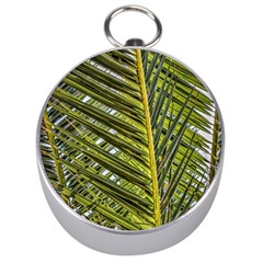 Palm Fronds Palm Palm Leaf Plant Silver Compasses by Wegoenart