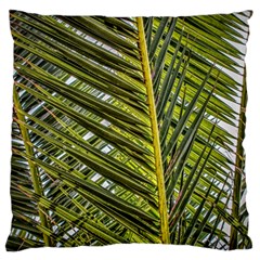 Palm Fronds Palm Palm Leaf Plant Standard Flano Cushion Case (one Side) by Wegoenart