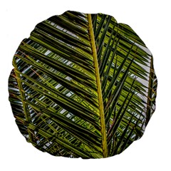 Palm Fronds Palm Palm Leaf Plant Large 18  Premium Flano Round Cushions by Wegoenart