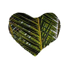 Palm Fronds Palm Palm Leaf Plant Standard 16  Premium Flano Heart Shape Cushions by Wegoenart