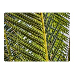 Palm Fronds Palm Palm Leaf Plant Double Sided Flano Blanket (mini)  by Wegoenart