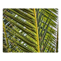 Palm Fronds Palm Palm Leaf Plant Double Sided Flano Blanket (large)  by Wegoenart